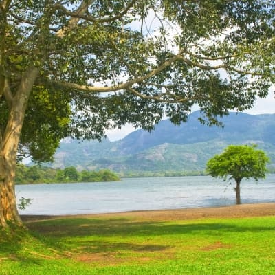 Survol en mongolfière au dessus du lac de Kandalama