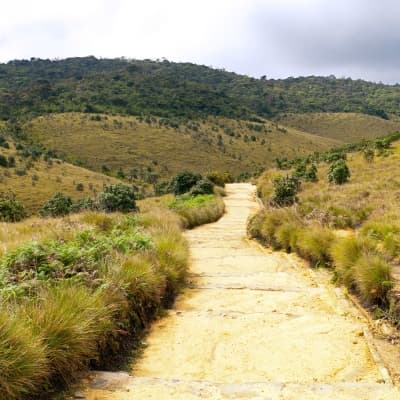 Trek à Horton Plains